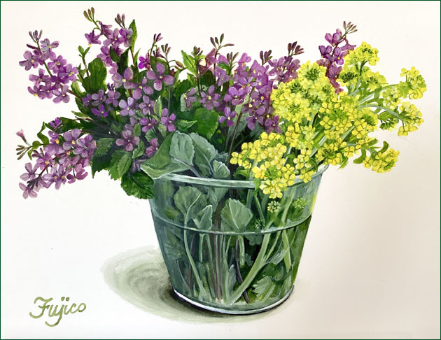 14　紫大根と白菜の花